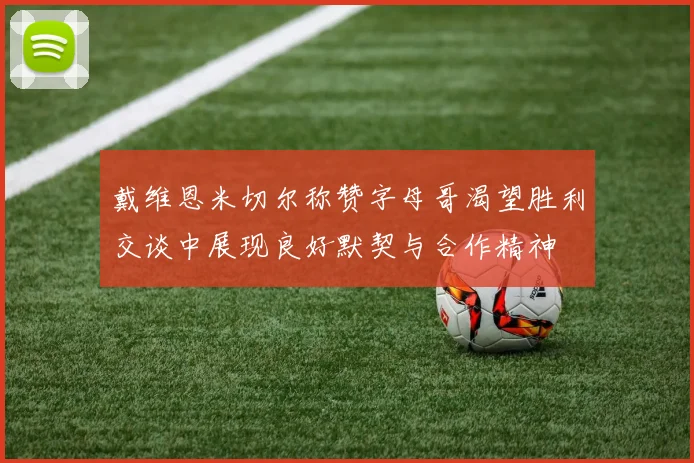 戴维恩米切尔称赞字母哥渴望胜利交谈中展现良好默契与合作精神